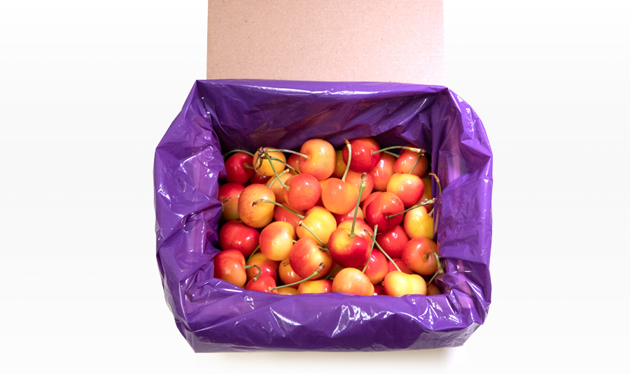 PR1042 Gee-Whiz Premium Rainier Cherry EXPORT 4kg(2kg x 2)